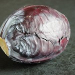 Red-Cabbage-OL