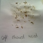 G soft chewed wood residue