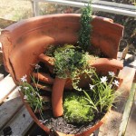 broken-flowerpot-planted