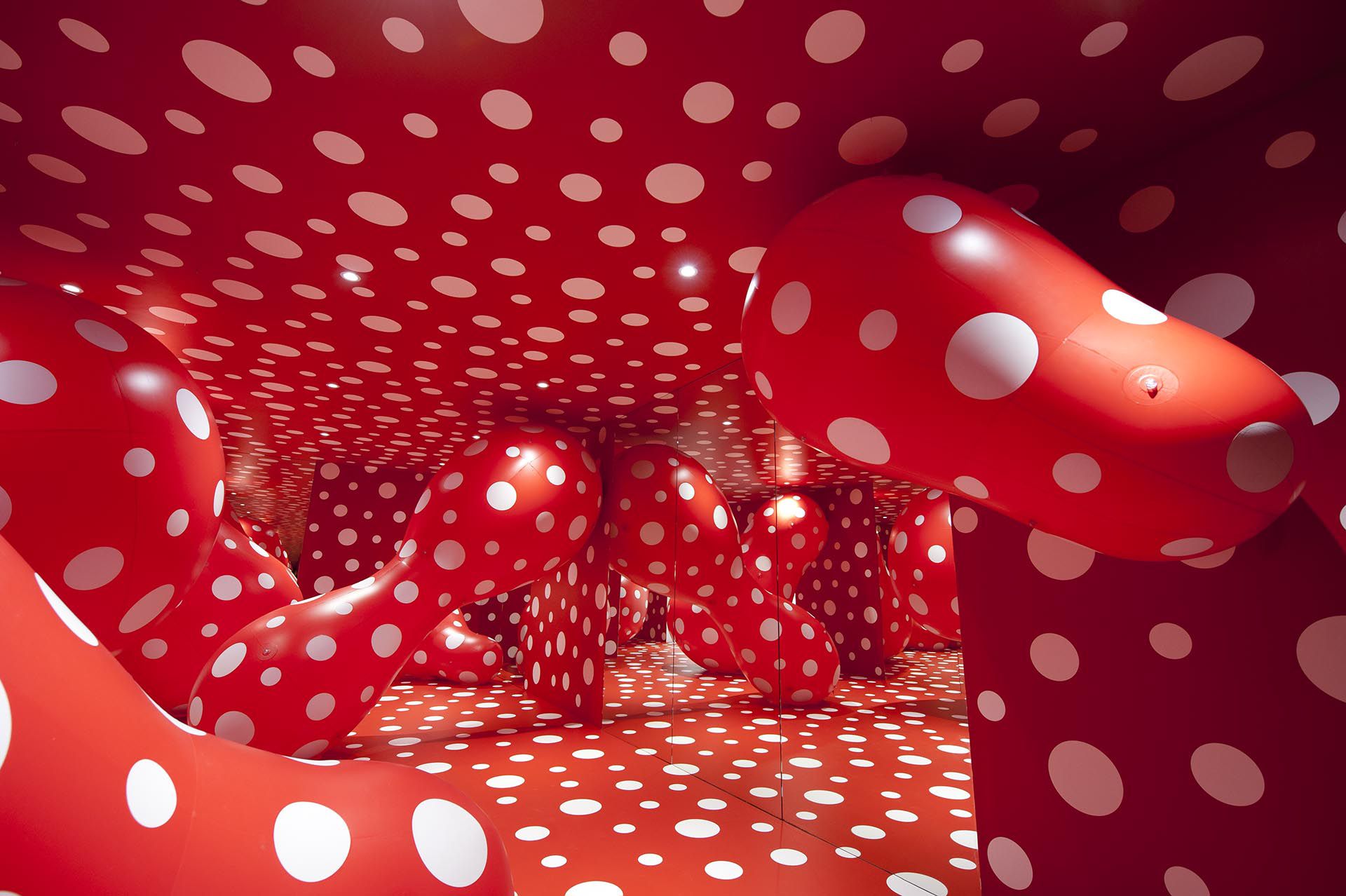 'Yayoi Kusama: Look Now, See Forever' Installation view
