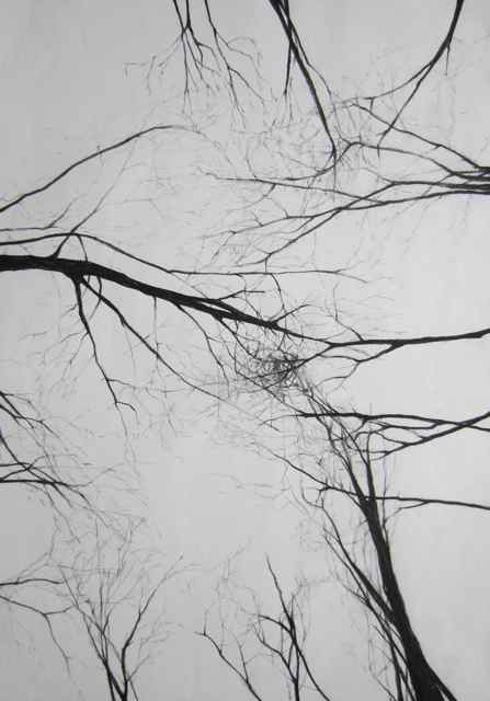 I called the drawing 'Tree Sky'. It was made using charcoal.