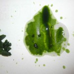 spinach stain