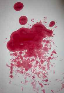 beetroot colour stain