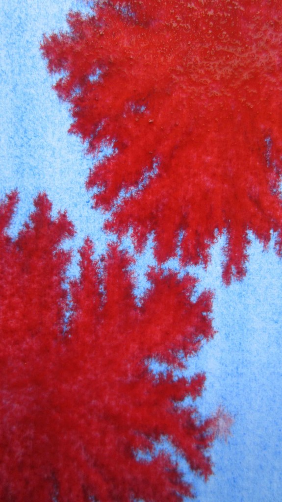 drops of red paint on still wet blue washed paper