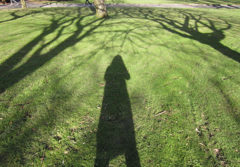 A giant shadow, silhouette of me with the tree shapes either side!