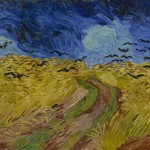 wheatfiled with crows