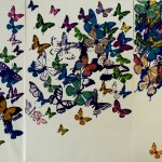butterflies 7