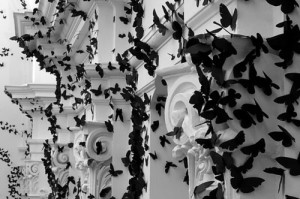 butterflies andrea mastrovito Dior shop paris