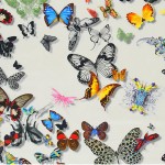 butterflies4