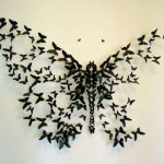 butterflies5