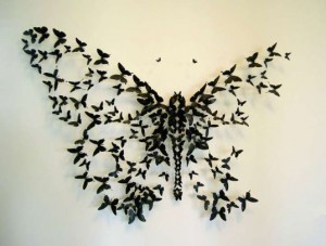 butterflies5